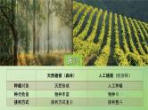 2024届湘教版新教材高考地理一轮复习第一部分第六章自然环境的整体性与差异性第1讲课时34主要植被与自然环境课件