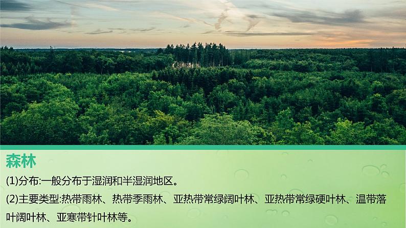 2024届湘教版新教材高考地理一轮复习第一部分第六章自然环境的整体性与差异性第1讲课时34主要植被与自然环境课件第6页