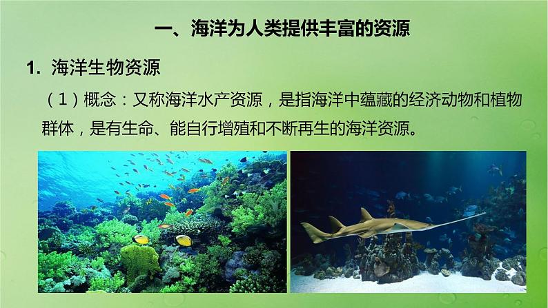 2024届湘教版新教材高考地理一轮复习第一部分自然地理第四章水的运动课时22海洋与人类课件第2页