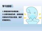 4.1 流域内协调发展课件1