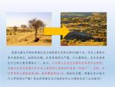 2.2生态脆弱区的综合治理课件5