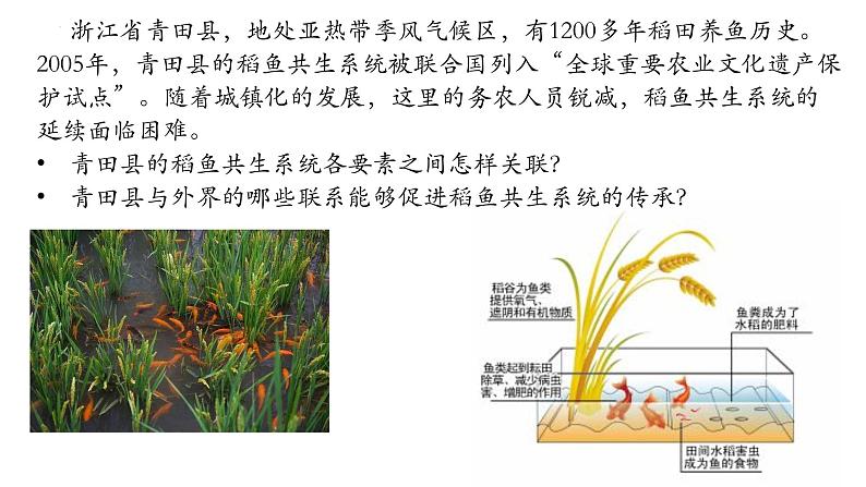 1.2区域整体性和关联性课件1第2页