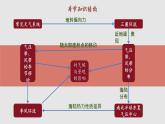 3.2.1 气压带、风带与气候（教学课件）——高中地理鲁教版（2019）选择性必修一
