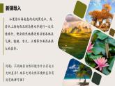 5.1 自然环境的差异性（教学课件）——高中地理鲁教版（2019）选择性必修一