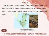3.2.1 气压带、风带与气候（教学课件）——高中地理鲁教版（2019）选择性必修一