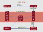 3.2.2 气压带、风带与气候（教学课件）——高中地理鲁教版（2019）选择性必修一