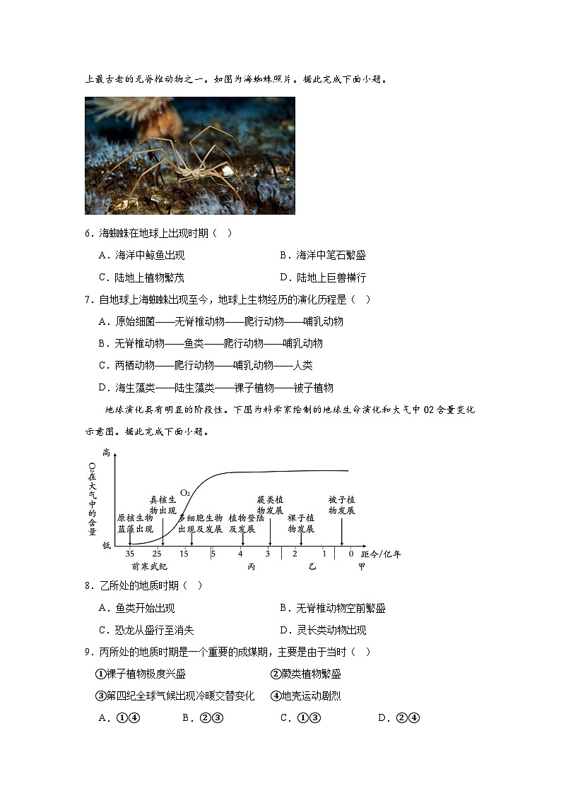 1.3《地球的演化过程》分层练习（原卷版）-中图版地理必修第一册第2页