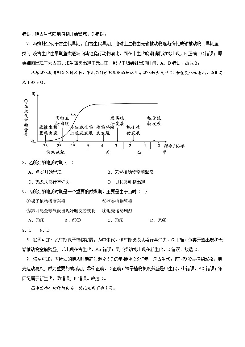 1.3《地球的演化过程》分层练习（解析版）-中图版地理必修第一册03