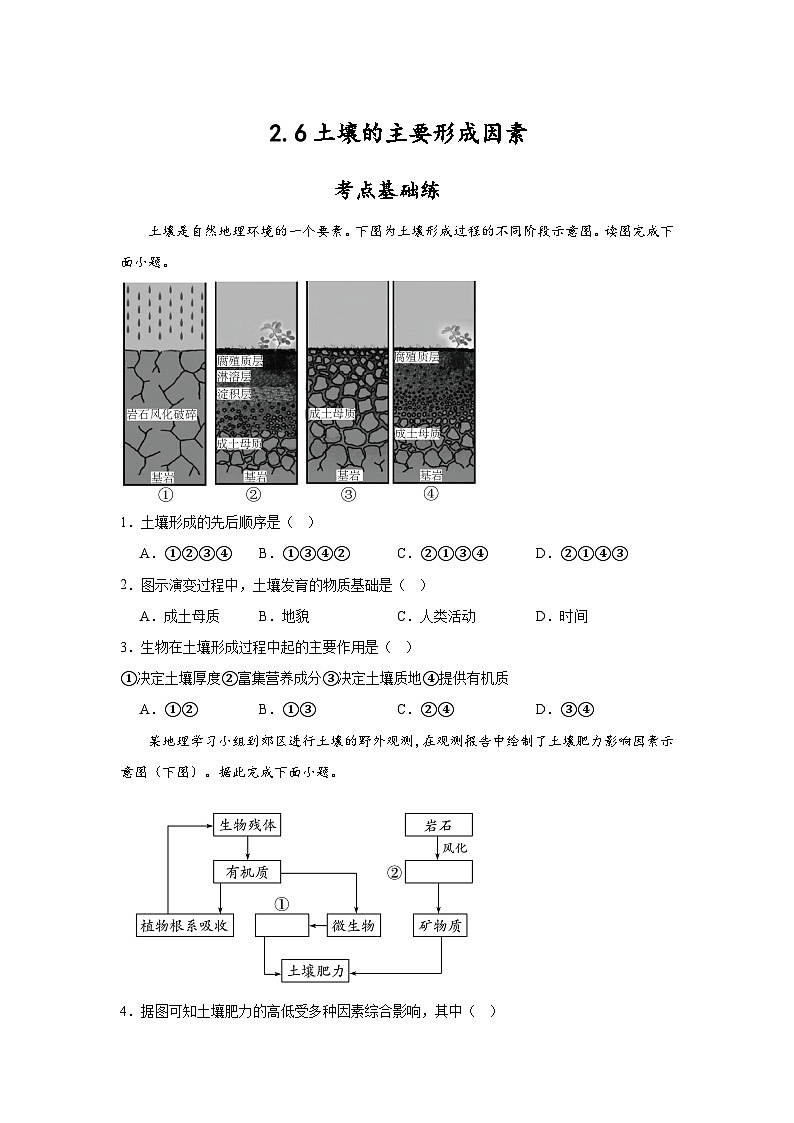 2.6《土壤的主要形成因素》分层练习（原卷版）-中图版地理必修第一册第1页