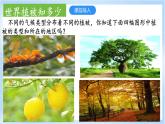 2.7《植被与自然地理环境的关系》课件-中图版地理必修第一册