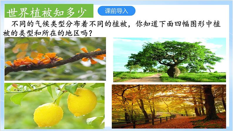 2.7《植被与自然地理环境的关系》课件-中图版地理必修第一册03