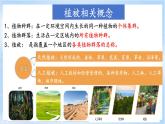 2.7《植被与自然地理环境的关系》课件-中图版地理必修第一册