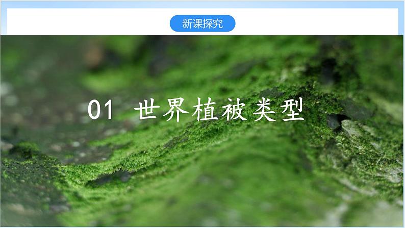 2.7《植被与自然地理环境的关系》课件-中图版地理必修第一册05