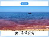 3.1.3《常见的自然灾害及其成因》第3课时 海洋灾害与生物灾害 课件-中图版地理必修第一册