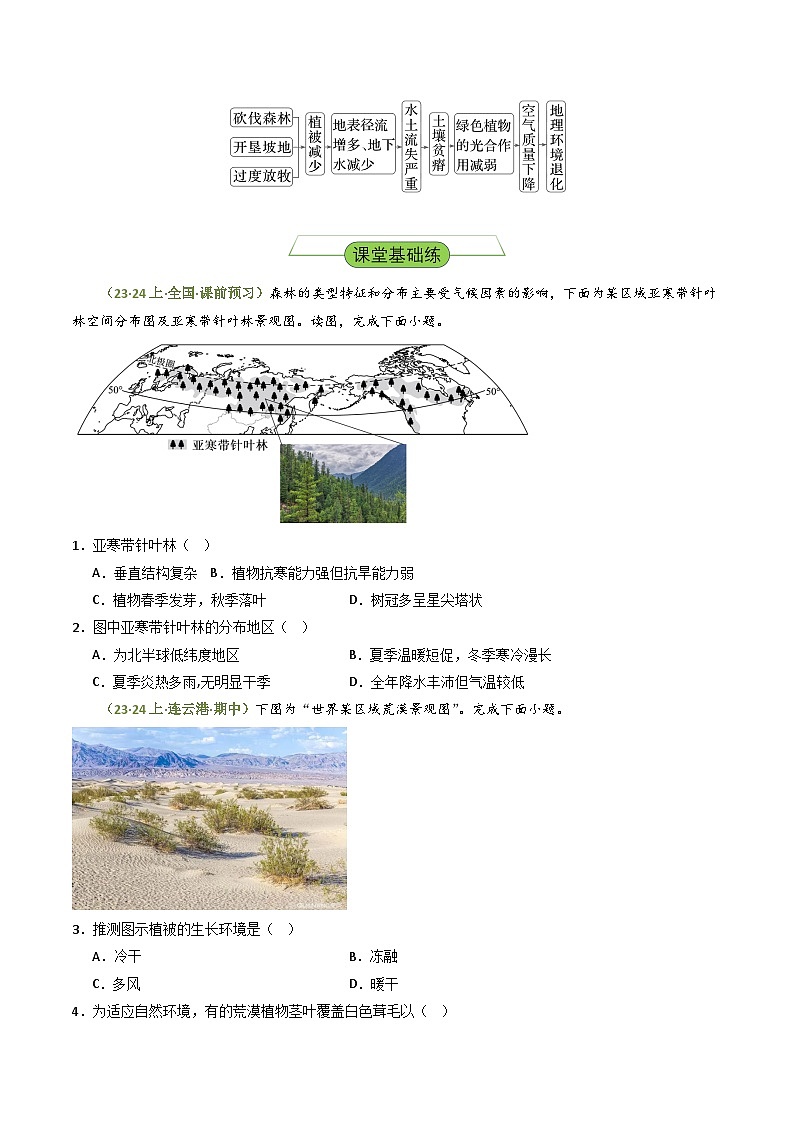 【新课标】5.1《主要植被与自然环境》分层练习（原卷版）-湘教版地理必修第一册02
