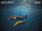 人教版地理必修第一册 3.2《海水的性质》课件PPT