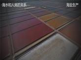 人教版地理必修第一册 3.2《海水的性质》课件PPT