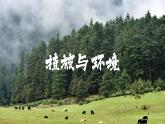 人教版地理必修第一册 5.1《植被》课件PPT