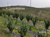 人教版地理必修第一册 5.1《植被》课件PPT