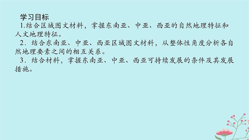 2025版高考地理全程一轮复习第二十二章世界热点区域第81课时东南亚中亚西亚课件第2页