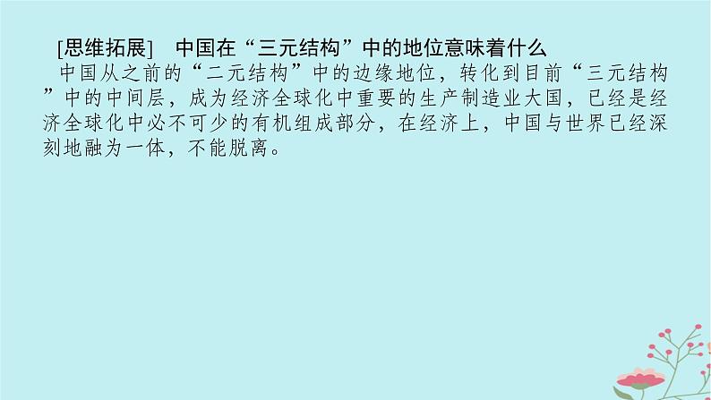 2025版高考地理全程一轮复习第十八章区际联系与区域协调发展第70课时国际合作课件第8页