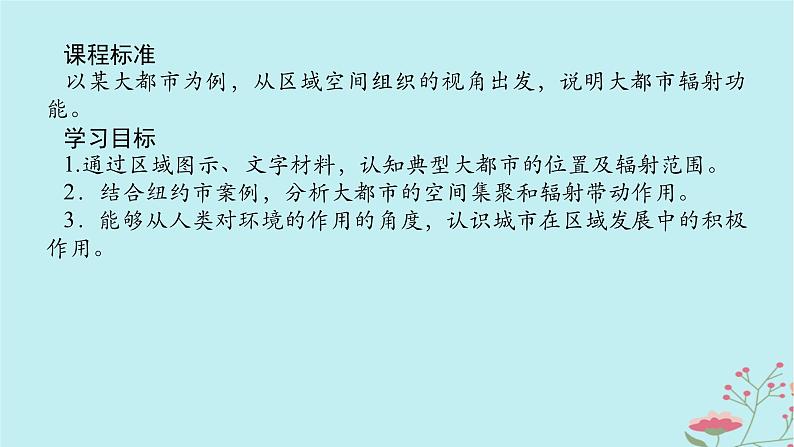 2025版高考地理全程一轮复习第十七章城市产业与区域发展第65课时城市的辐射功能课件02