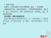 2025版高考地理全程一轮复习第八章自然环境的整体性与差异性第37课时植被课件