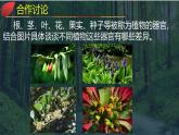 【同步课件】湘教版（2019）高中地理必修一 5.1《主要植被与自然环境》课件（第1课时）