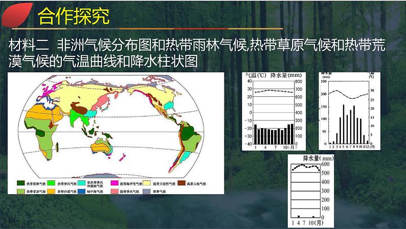 【同步课件】湘教版（2019）高中地理必修一 5.1《主要植被与自然环境》课件（第1课时）07