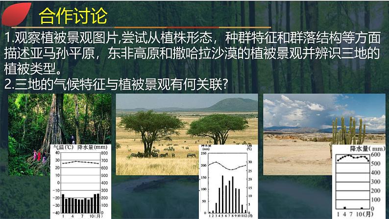 【同步课件】湘教版（2019）高中地理必修一 5.1《主要植被与自然环境》课件（第1课时）08