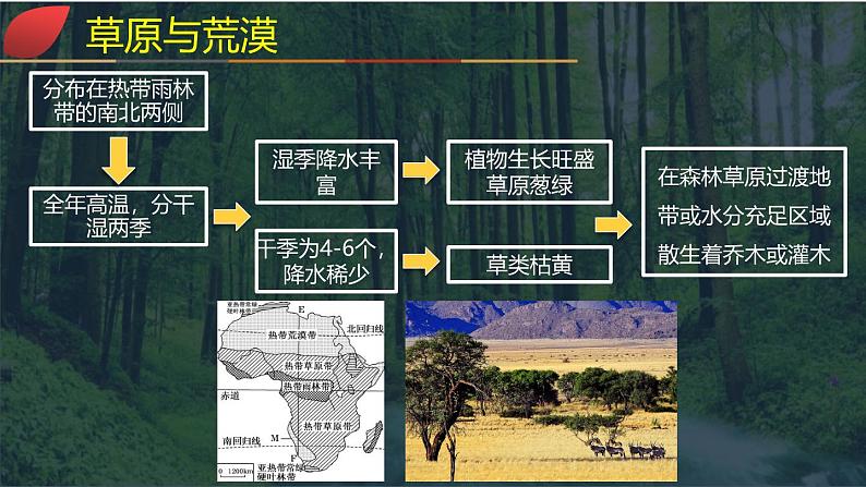 【同步课件】湘教版（2019）高中地理必修一 5.1《主要植被与自然环境》课件（第2课时）07