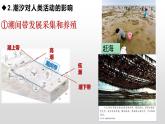 3.3 海水的运动 课件 高一上学期地理人教版（2019）必修第一册