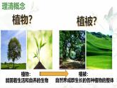 5.1植被课件 高中地理人教版（2019）必修一