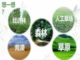 5.1植被课件 高中地理人教版（2019）必修一