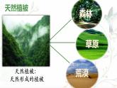 5.1植被课件 高中地理人教版（2019）必修一