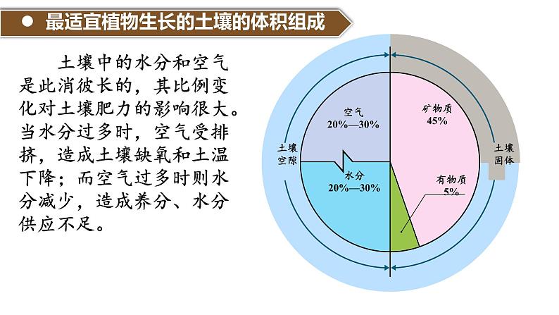 5.2 土壤 课件 高一地理人教版（2019）必修第一册04