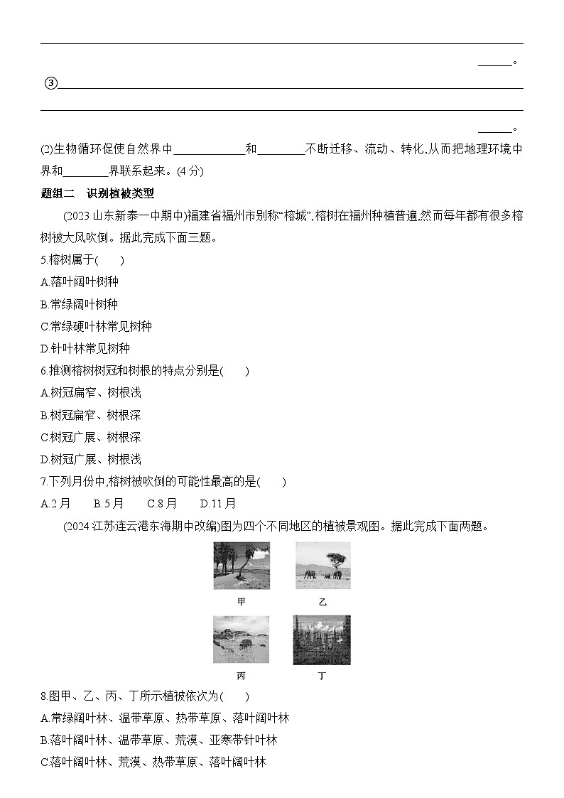 2.3 生物圈与植被 同步练习题2024-2025学年鲁教版（2019）高中地理必修第一册02