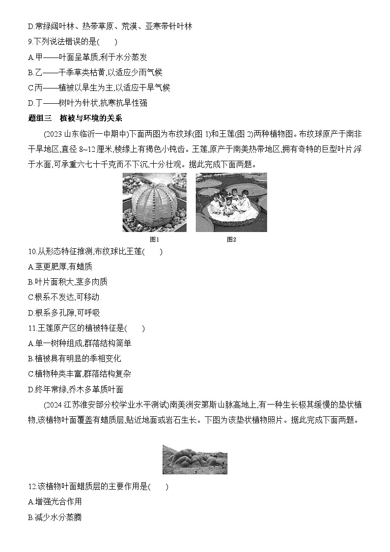 2.3 生物圈与植被 同步练习题2024-2025学年鲁教版（2019）高中地理必修第一册03