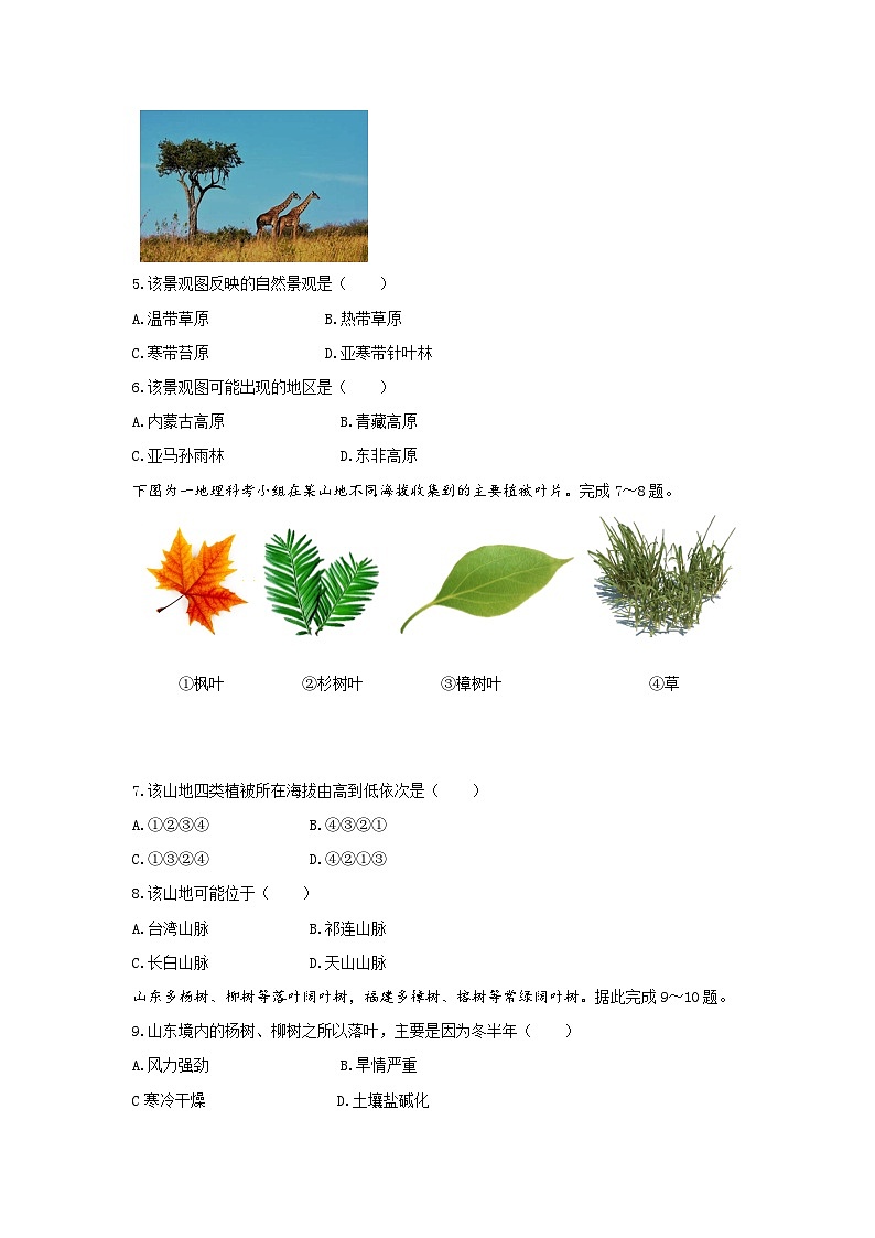 【新教材】鲁教版高中地理必修第一册 2.3.1《生物圈与植被》练习（原卷）02