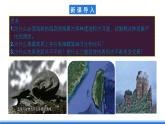 中图版高二地理2019选择性必修一  2.1.1《内力作用及其对地表形态的影响》课件