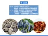 中图版高二地理2019选择性必修一  2.2《岩石圈的物质组成及循环》课件