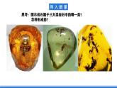 中图版高二地理2019选择性必修一  2.2《岩石圈的物质组成及循环》课件