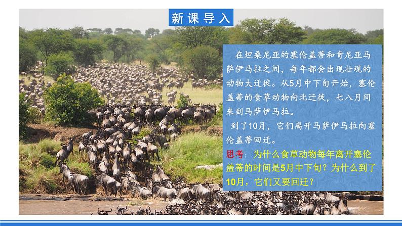 中图版高二地理2019选择性必修一  3.2《气压带、风带对气候的影响》课件05