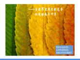 中图版高二地理2019选择性必修一  5.2《自然地理环境的地域分异规律》课件