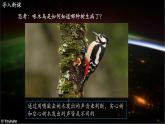 【中图版】地理必修一  1.2 地球的圈层结构（课件+练习）