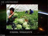 【中图版】地理必修一  1.2 地球的圈层结构（课件+练习）