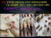 【中图版】地理必修一  2.3 大气受热过程与热力环流 第2课时 热力环流  (课件）