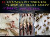 【中图版】地理必修一  2.3 大气受热过程与热力环流 第2课时 热力环流  (课件）