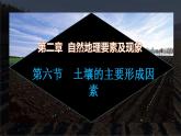 【中圖版】地理必修一  2.6 土壤的主要形成因素（課件+練習(xí)）