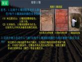 【中圖版】地理必修一  2.6 土壤的主要形成因素（課件+練習(xí)）